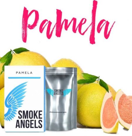 Smoke Angels 100 (PAMELA)