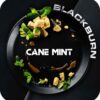 Blackburn 25 Cane Mint (Тросниковая Мята)