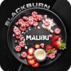 BlackBurn 25гр Malibu (Леденец Малибу)