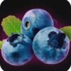 Duft 100гр Blueberry (Черника)