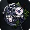 BlackBurn 25 Epic yogurt (Черничный йогурт)