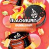 BlackBurn 25 Bubblegum (Фруктовая жвачка)